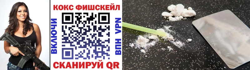 Купить закладки  Сурск  Кокаин Fish Scale 