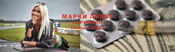 spice Аркадак