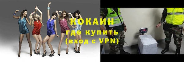 spice Аркадак