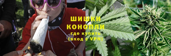 spice Аркадак