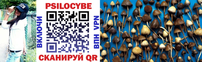 Галлюциногенные грибы прущие грибы  Купить закладки  Сурск 