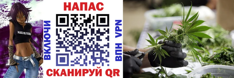 Бошки Шишки тримм  Купить где  Сурск 